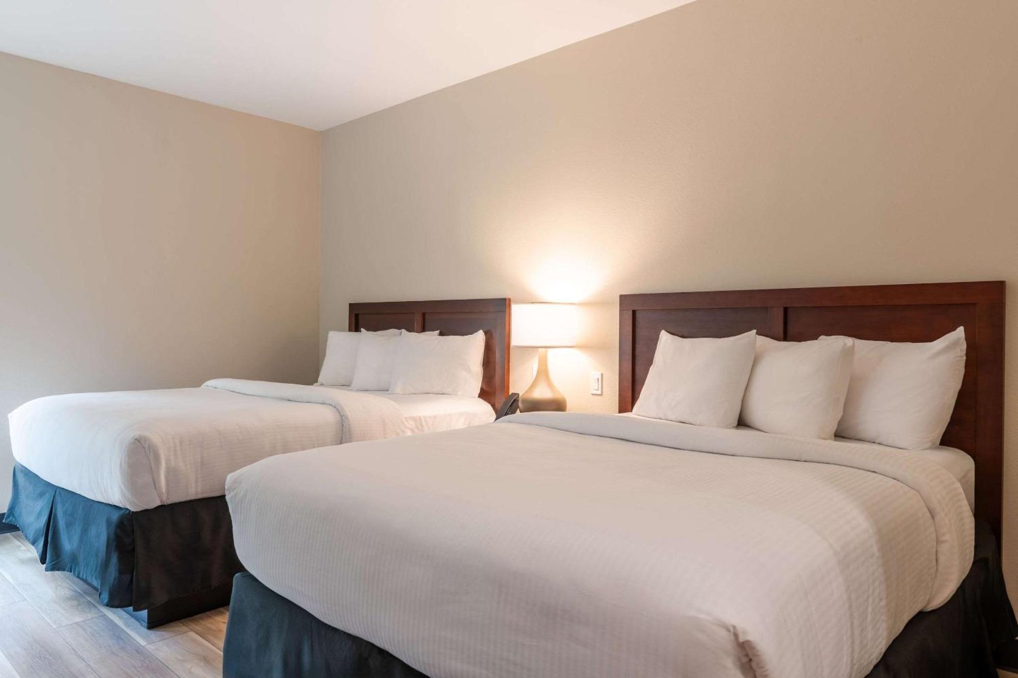 The Chandler At White Mountains, An Ascend Hotel Collection Membe Bethlehem Dış mekan fotoğraf